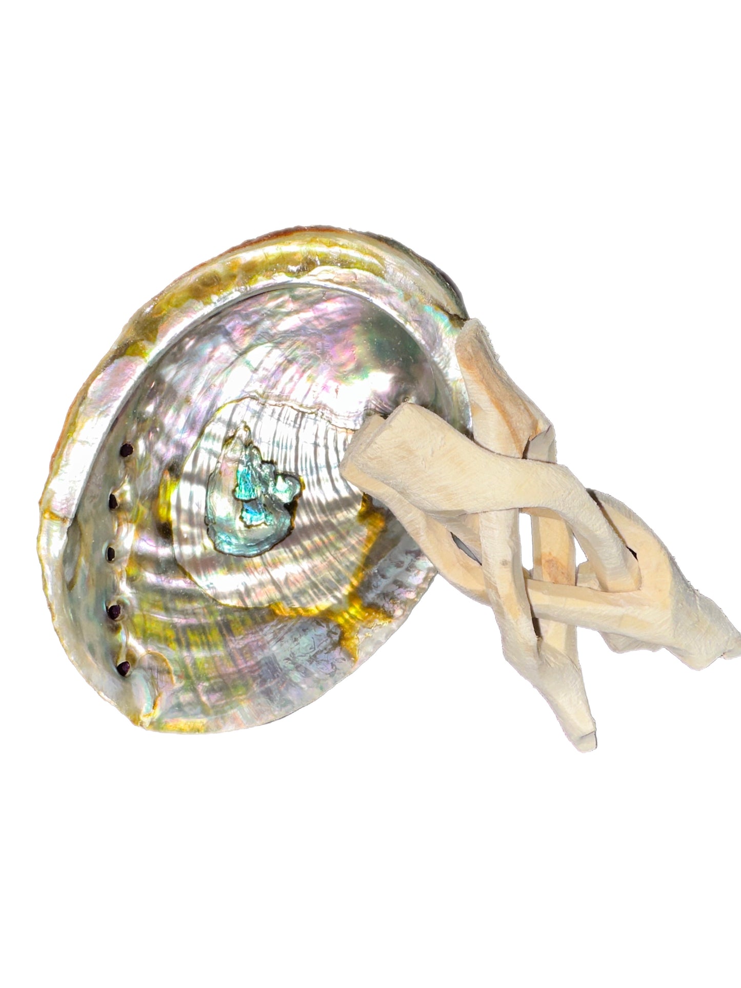 Abalone Shell with Stand